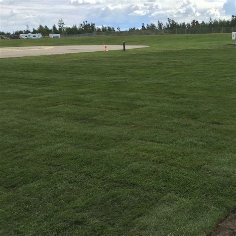 Roddy’s Skid Steer Services in Prince Albert, SK 